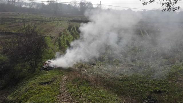 webwxgetmsgimg (2).jpg