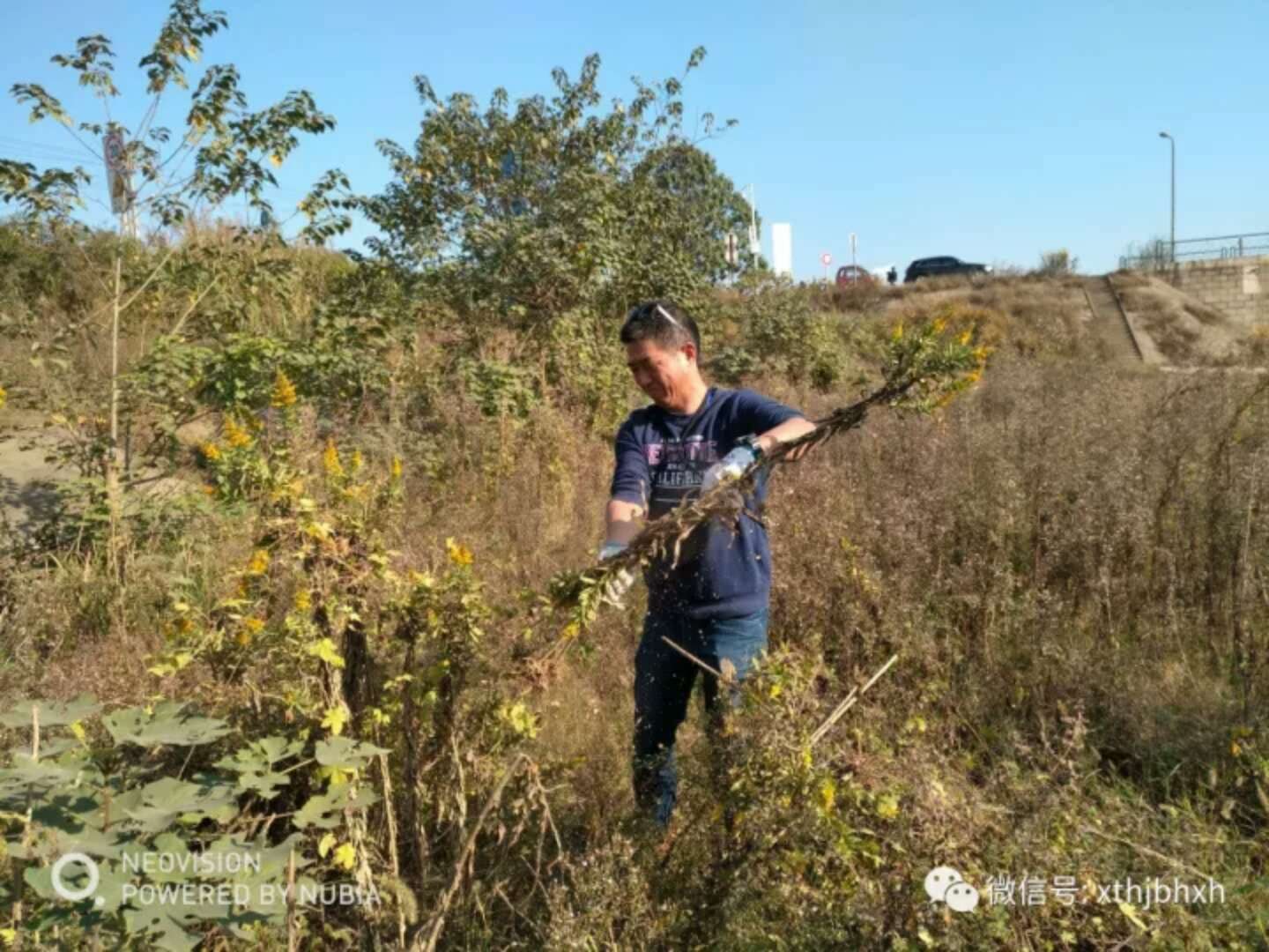 webwxgetmsgimg (6).jpg