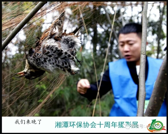 webwxgetmsgimg (41).jpg